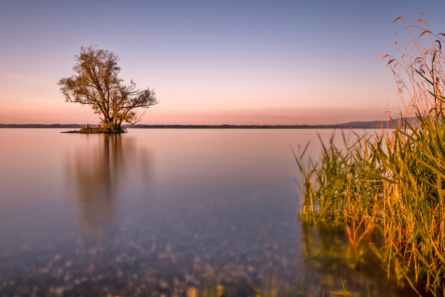 long esposure,lake,switzeland,tree,water,sunset,, Felix Ostapenko