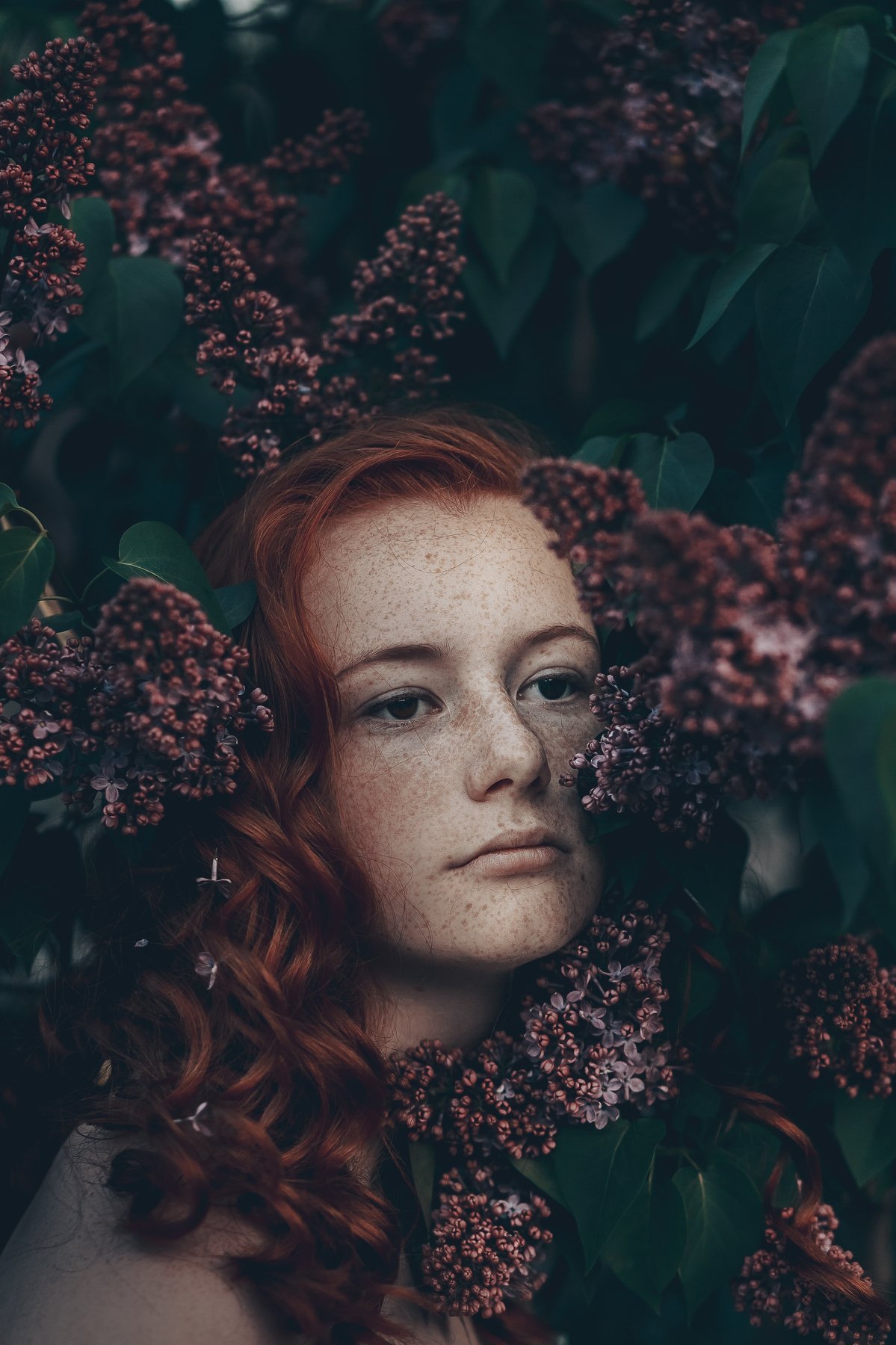 35mm, 4x5, 6x6, 6х6, 85mm, Art, Art nude, Ballerina, Ballet, Battur, Beautiful, Beauty, Canon, Canon 5D Mark III, Car, Color, Dance, Dress, Emotion, Eyes, Face, Flowers, Ganzo, Genre, Girl, Hair, Hero, Irinadzhul, Light, Lilac, Model, Mongol, Mongolia, Mo, Вероника Гергерт