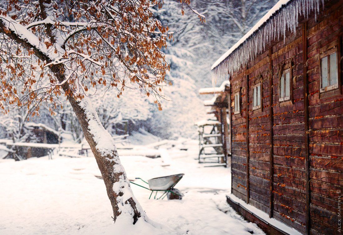 лосиный, остров, лесничество, сосульки, зима, Alexander Martynov