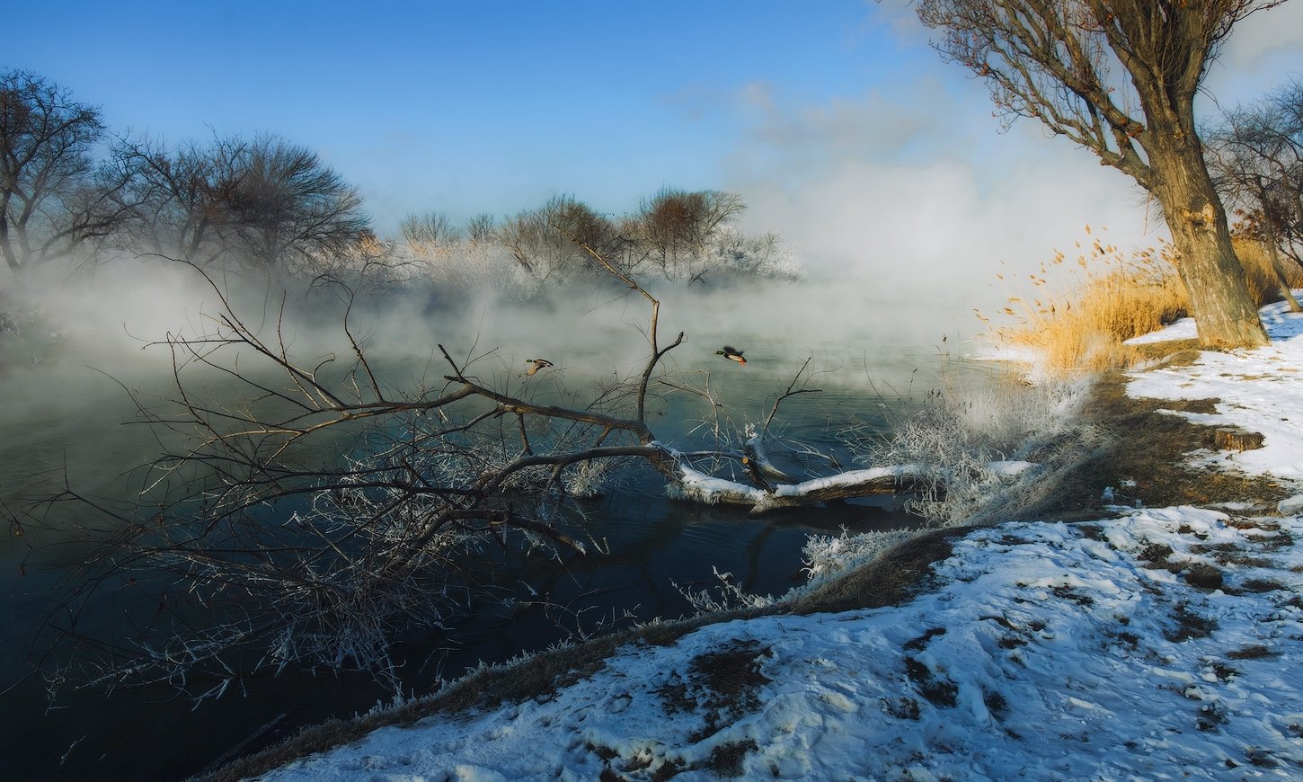Река Кубань фото зима