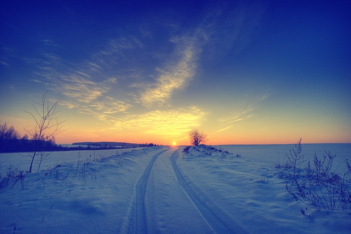 закат, зимняя, дорога, кусты, солнце, снег, Dmitry Apalikov