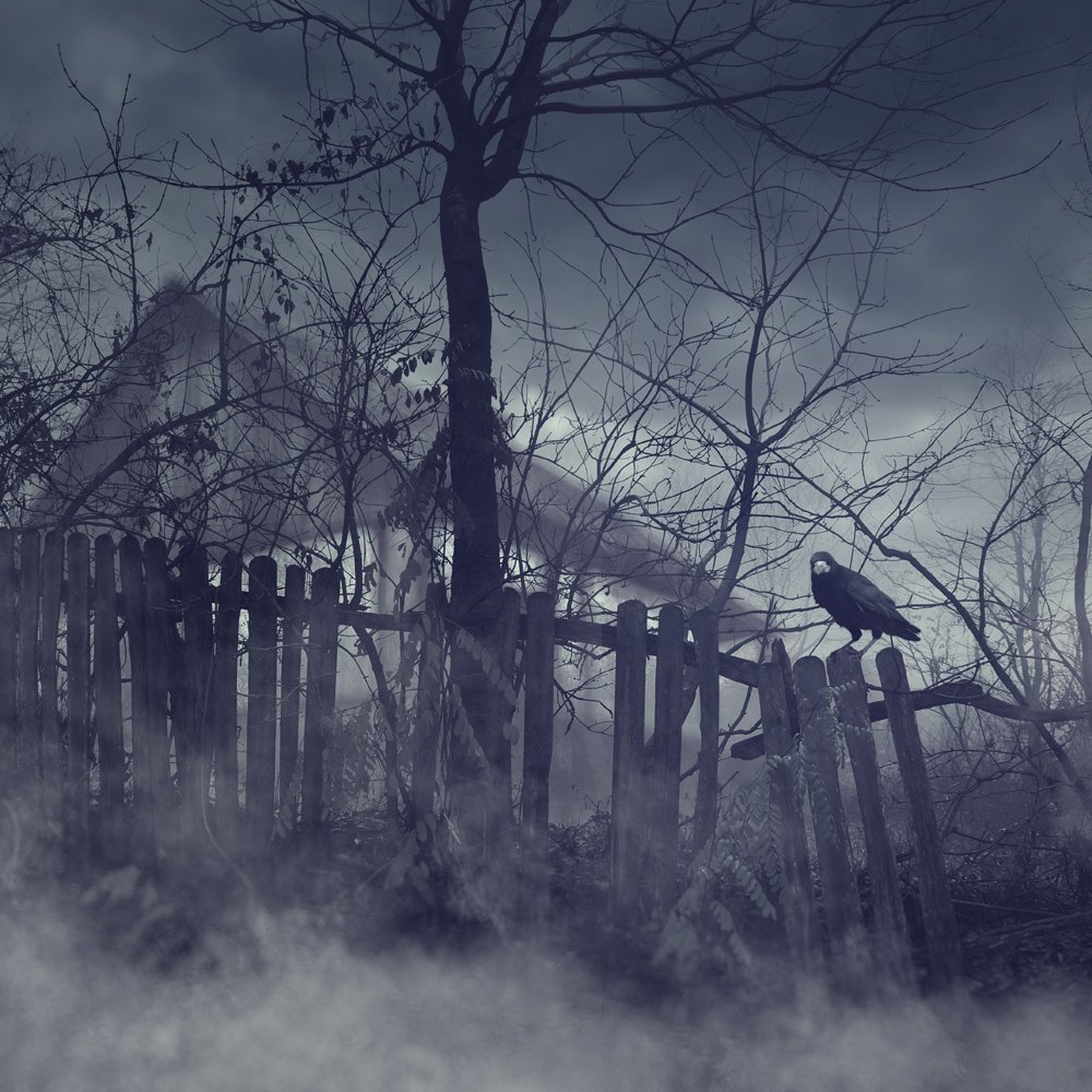 mist, fog, morning, blue, house, tree, bush, crow, abandoned, Caras Ionut