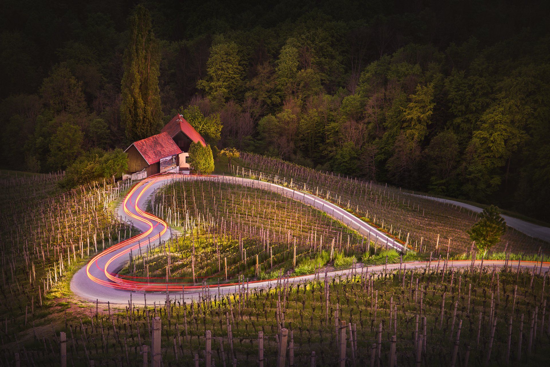 heart, road, slovenia, austria, spicnik, špičnik, vineyards, winery, Калин Панчев