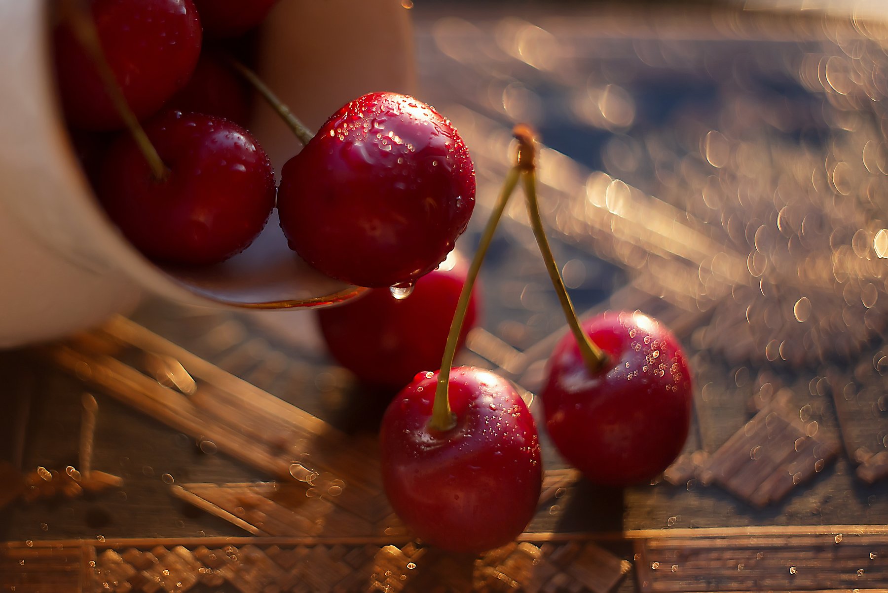 макро, гелиос 44-2, bokeh, macro , Анастасия Колесникова