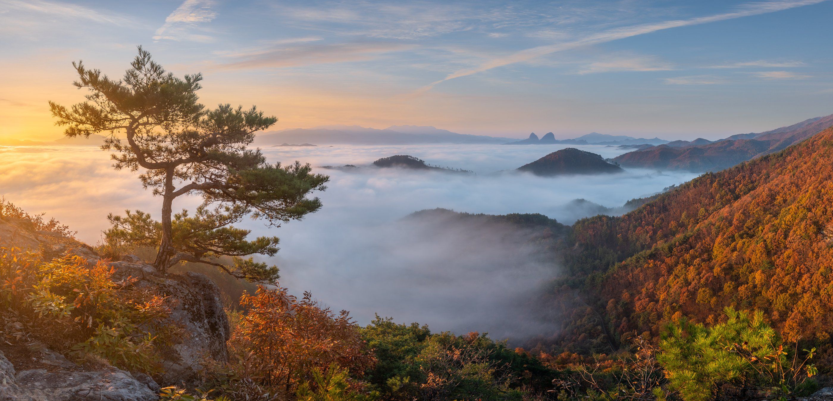 clouds, autumn, tree, mountains, dreamy, misty, pine, sunrise, Jaeyoun Ryu