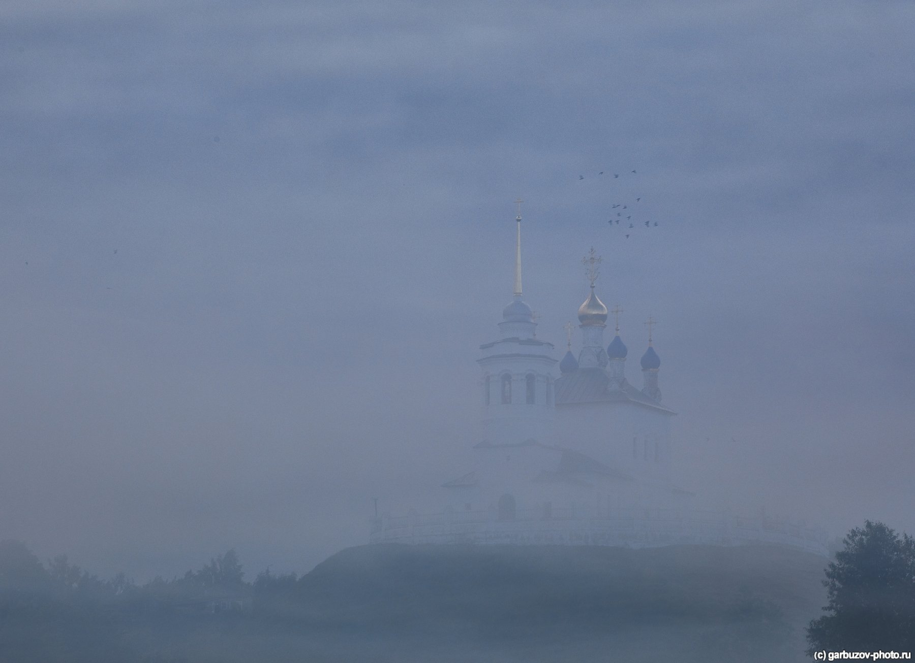 , Гарбузов Илья