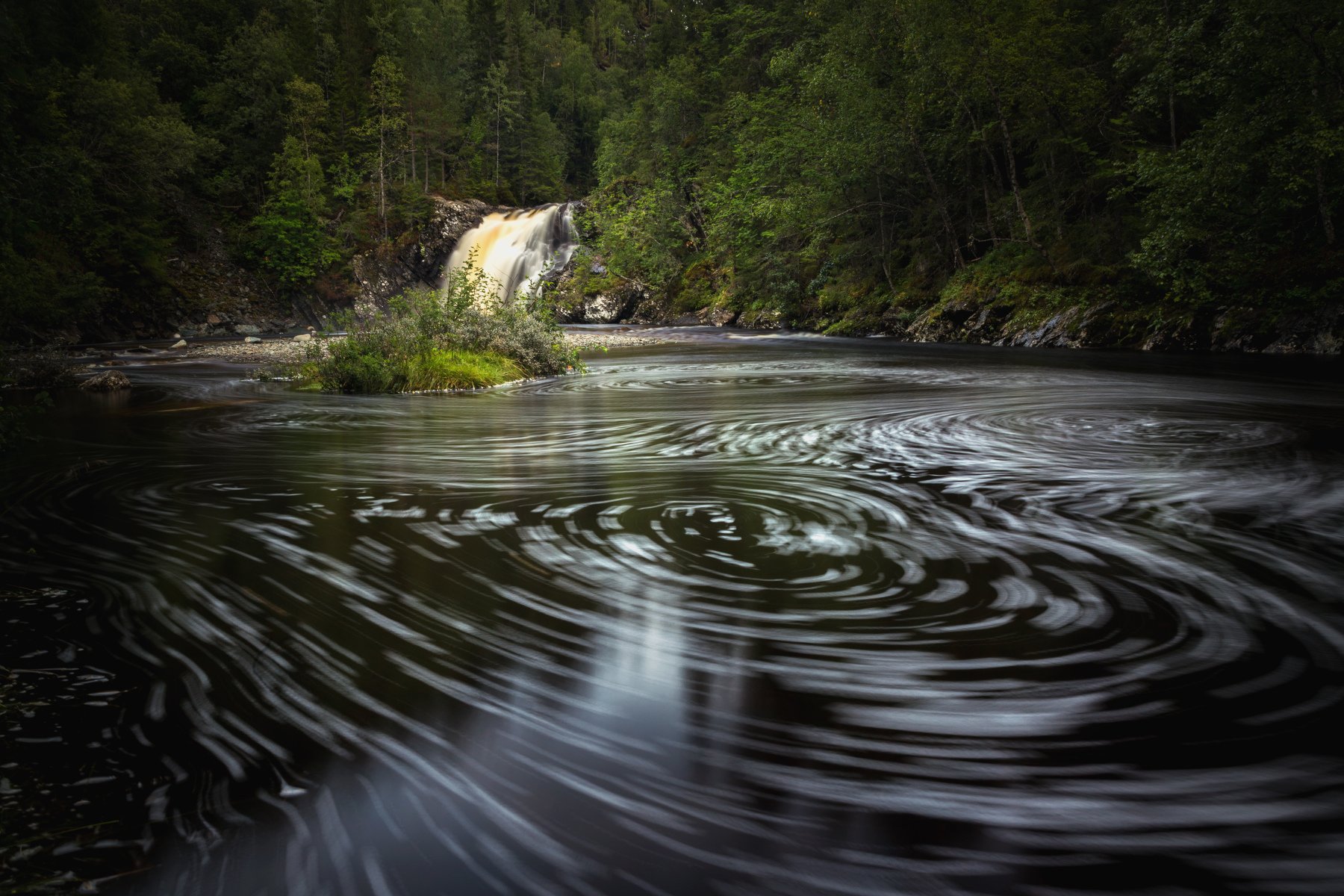 water,river,stream,flow,flowing,norway,norwegian,boreal,forest,woodland, Adrian Szatewicz