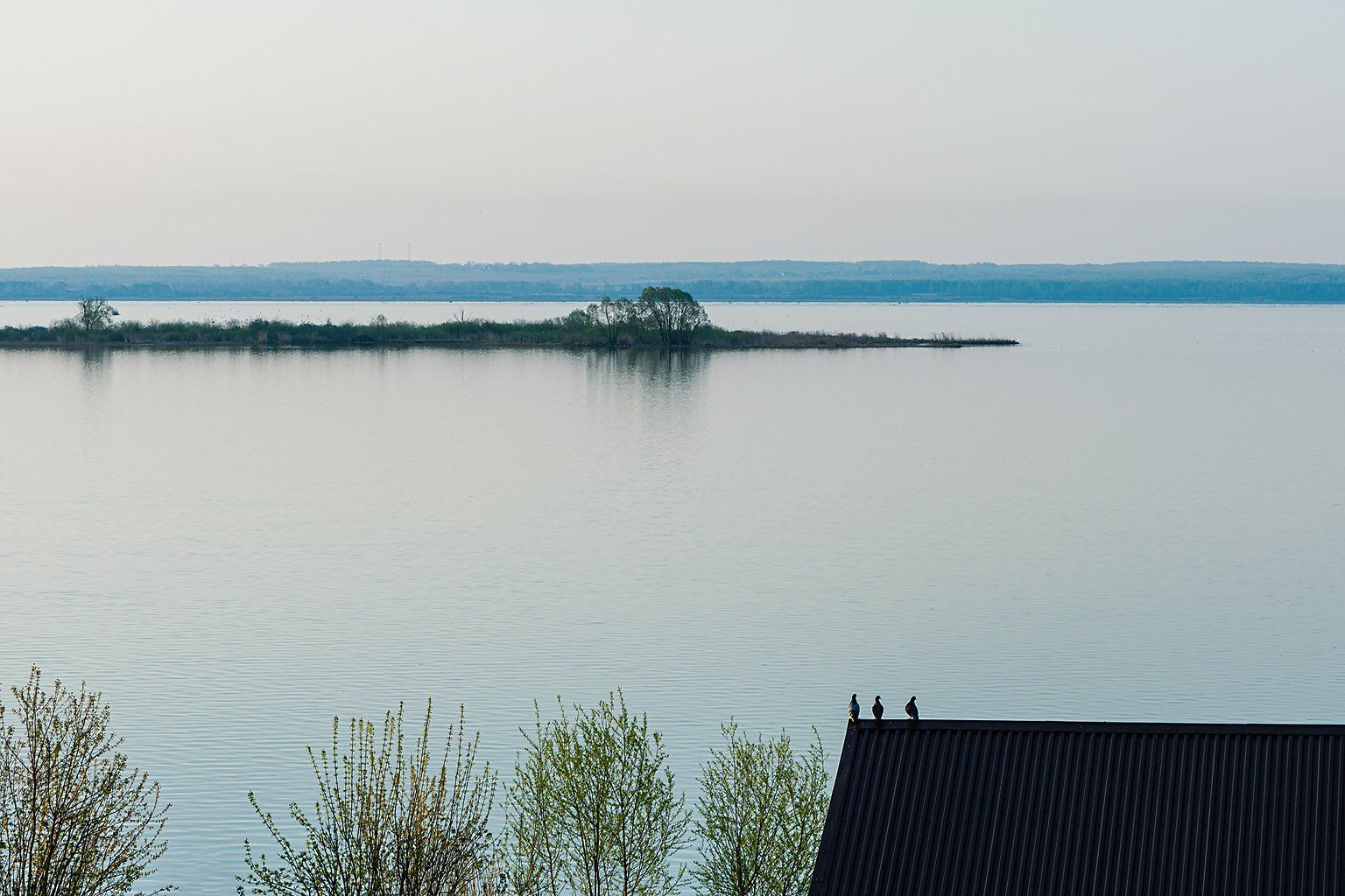 горизонт, вода, озеро, утро, тишина, птицы, голуби, Анатолий Тимофеев