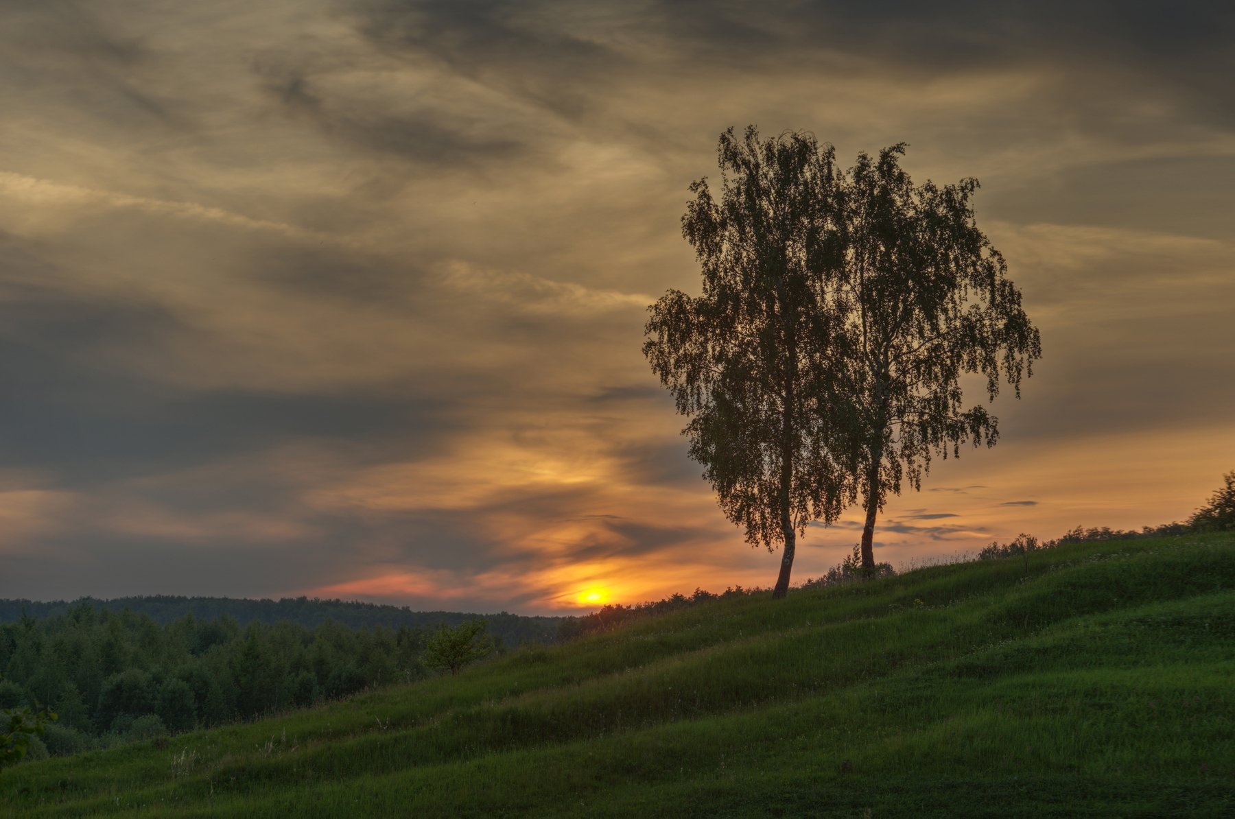 , Бурцев Дмитрий