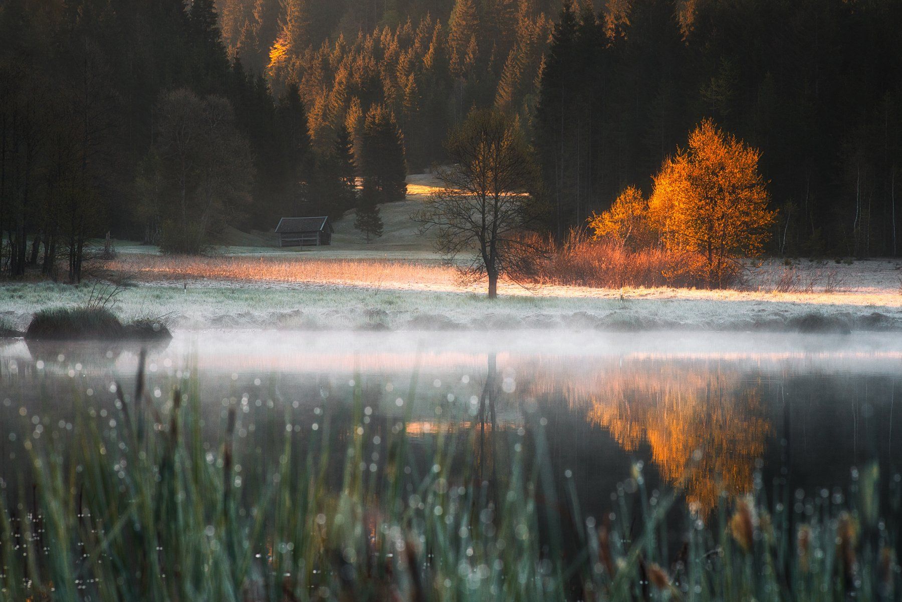 landscape,lake,bavaria,morning,sunrise,germany,nature, Olegs Bucis