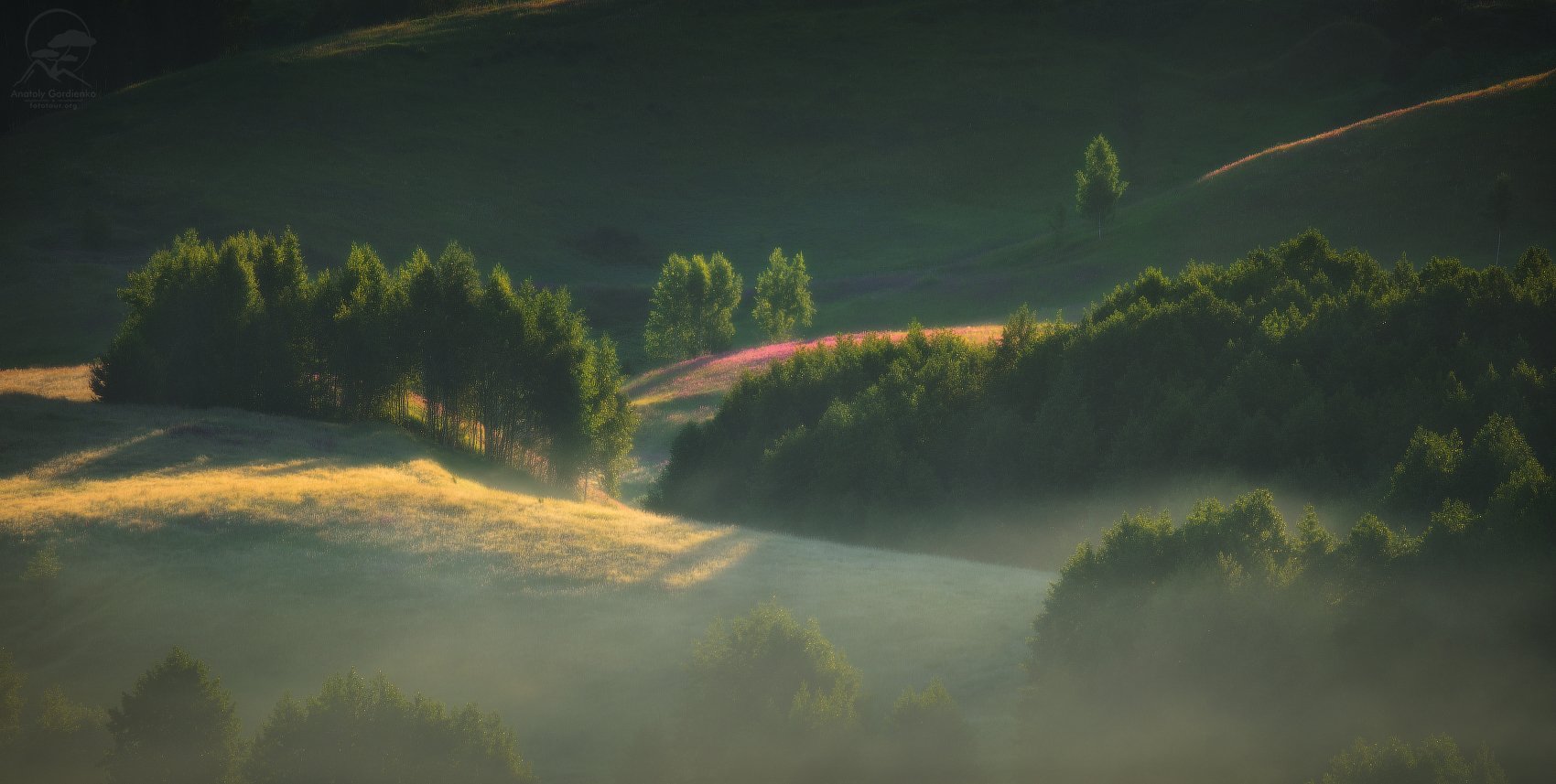 пейзаж, природа, холм, туман, россия, Анатолий Гордиенко