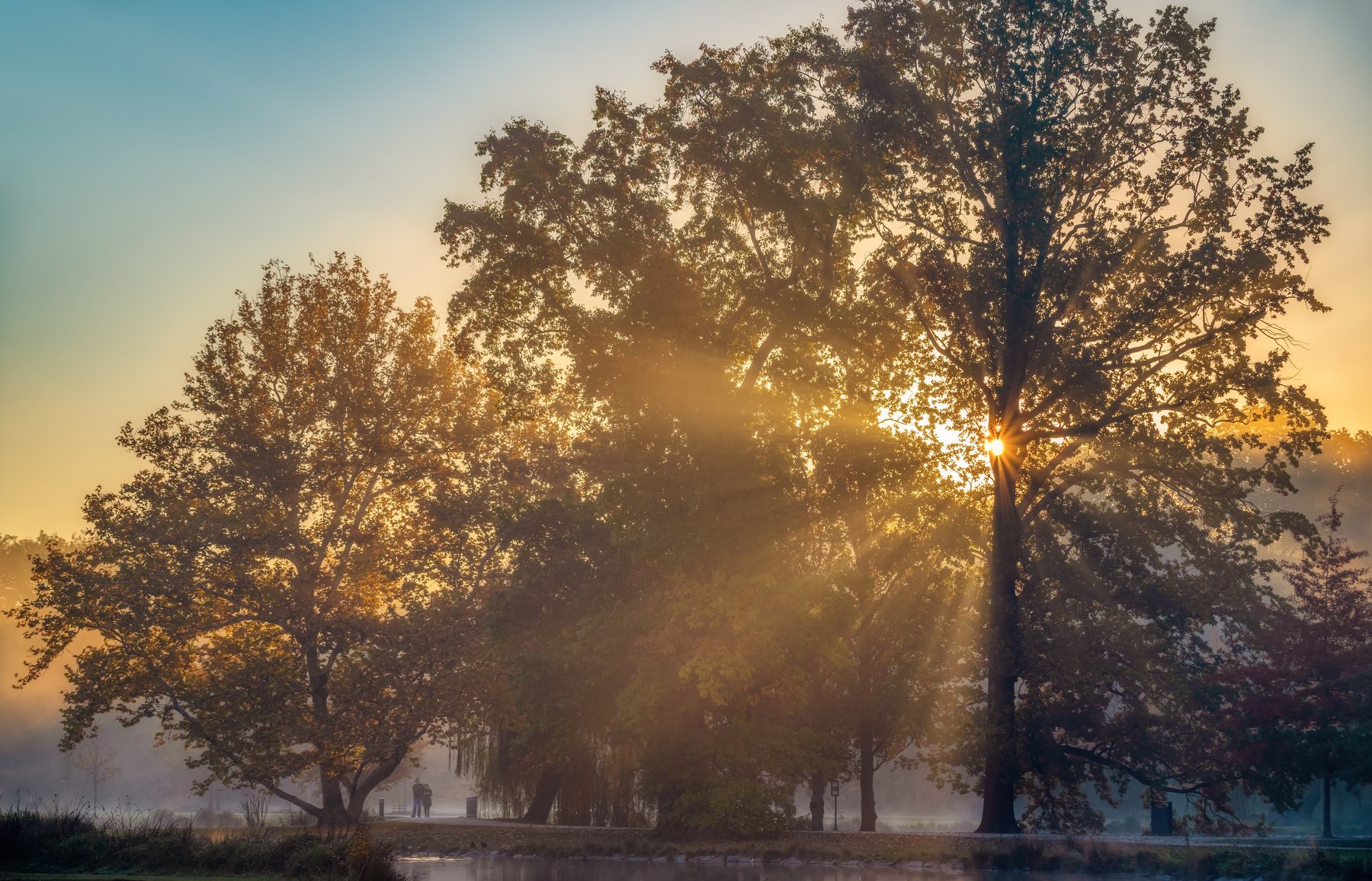 природа пейзаж вода туман утро рассвет осень небо солнце деревья отражения озеро парк, Андрей Ожерельев