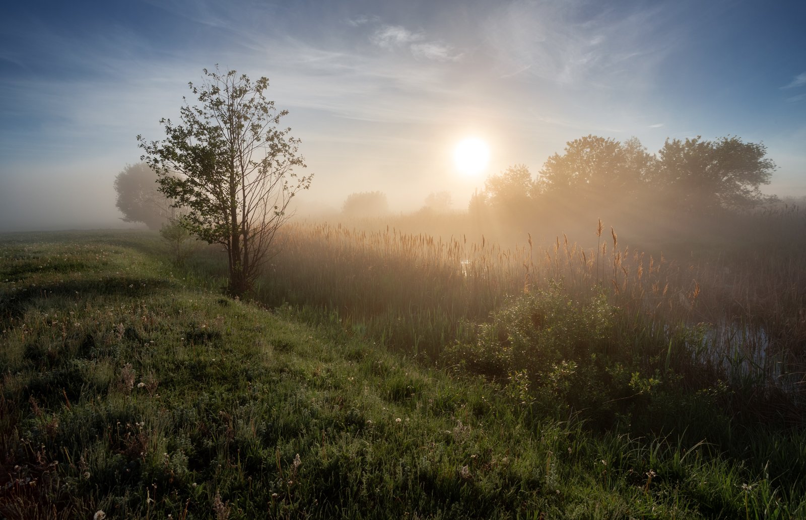 утра луч из за усталых бледных. туманное утро. средства выразительности в произведении медный всадник. природа вечер. афанасий фет земля прощается с землею.
