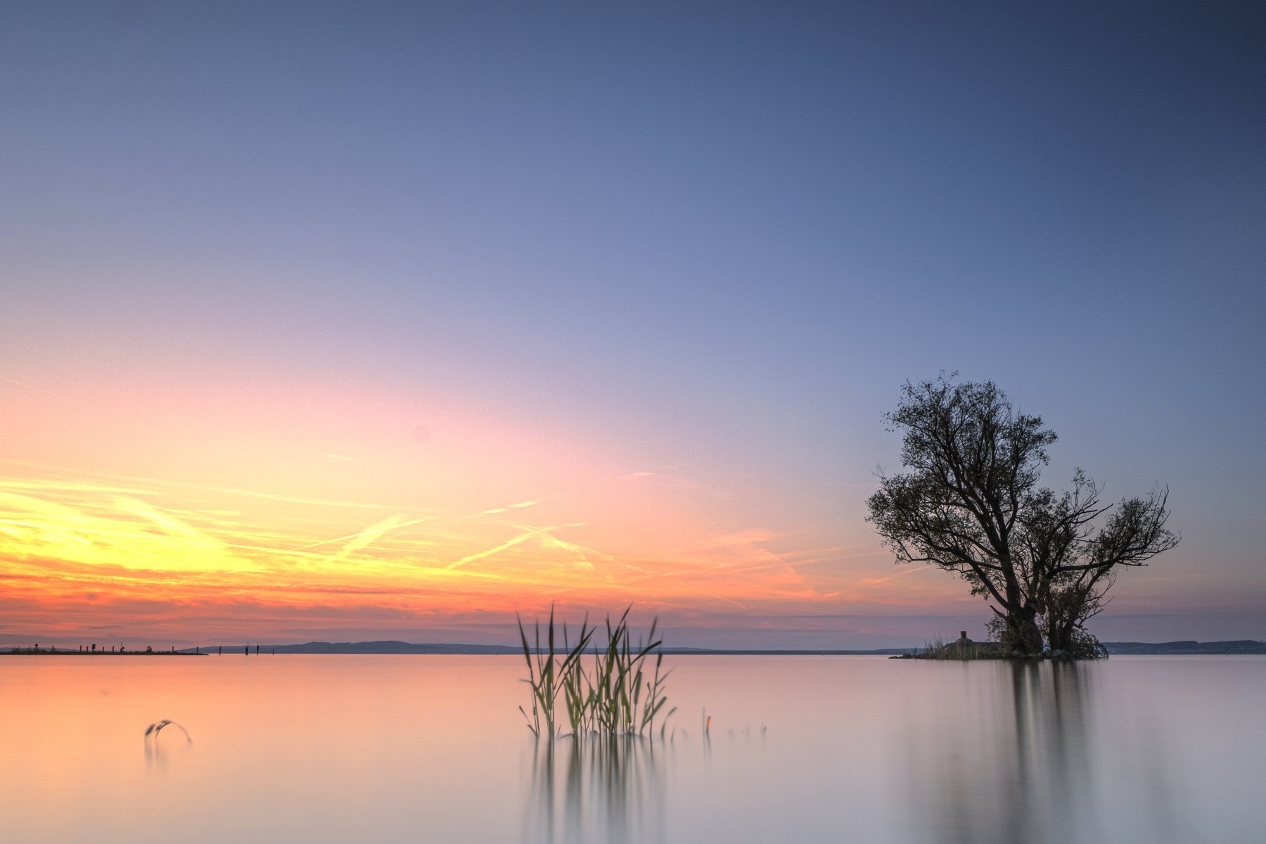 tree,lake,boden lake,long exposure,sunset,minimalistic,, Felix Ostapenko