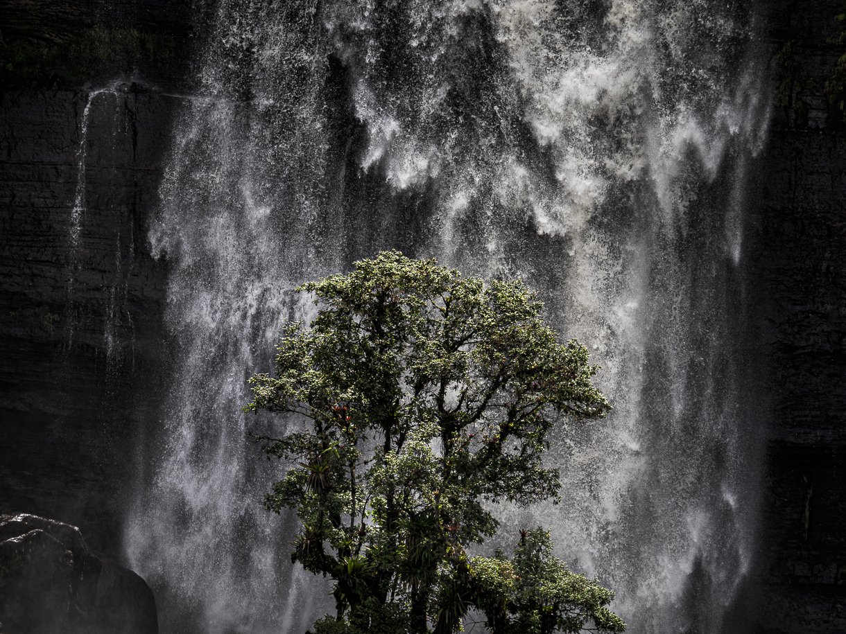 arbol, paisaje, art photography, agua, cascada, paisaje , Kevin Molano