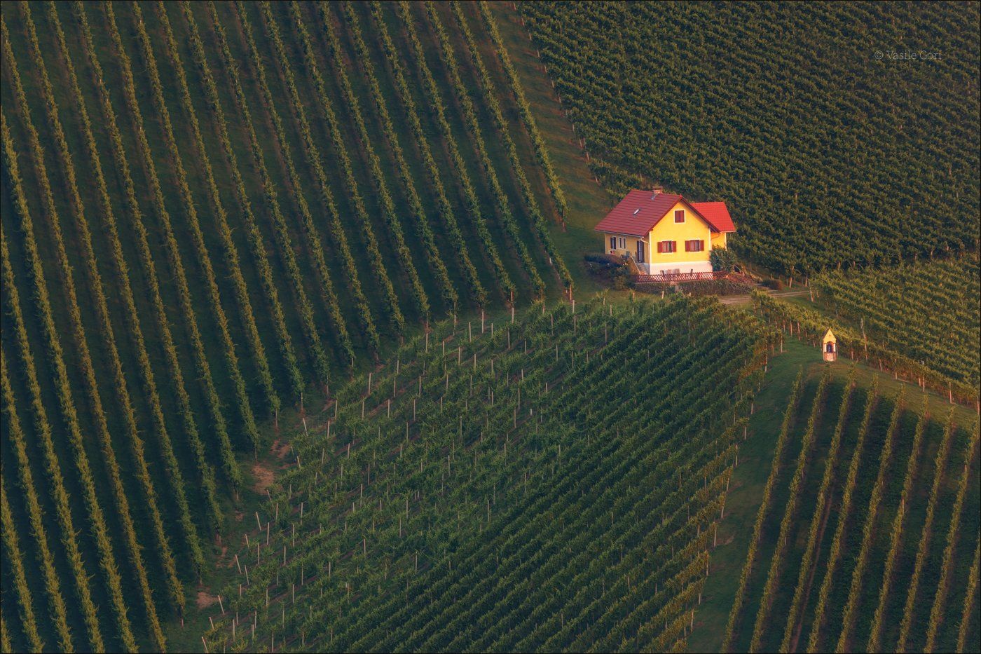 свет,österreich,лето,штирия,домик,австрия,виноградники,gamlitz,sernau,landscape, Василий Гори