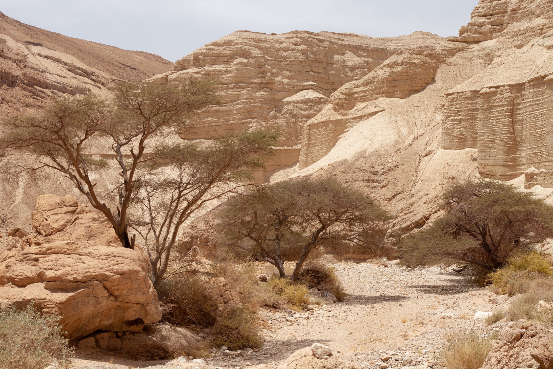 israel, zohar bridge., Сергей Сотников