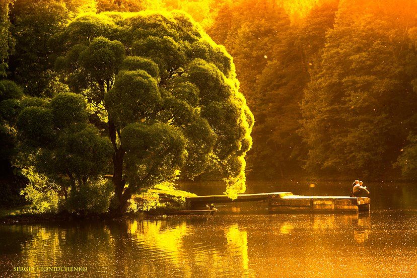 дерево, пара, лето, закат, парк, царицыно, пруд, отражения, Leonidchenko Sergey