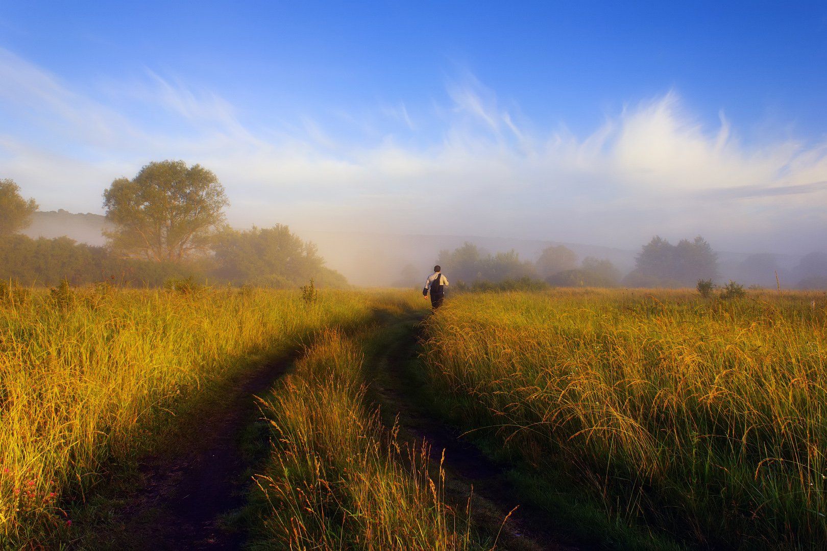 пейзаж, туман, утро, тропа, поле, луг, landscape, fog, morning, trail, field, meadow, Виктор Тулбанов