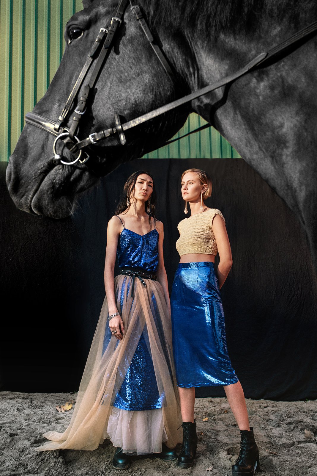 horses, fashion, editorial, art, horse, Olesya Kulida