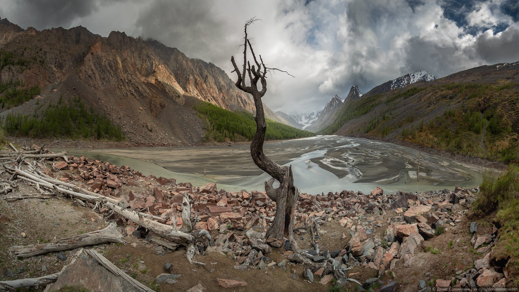 #алтай #маашей #мажой #цетральныйалтай #lake #mountainlake #deadlake #tree #nature #altai #nikon #nikond750 #panorama #pan #samyang #mountains #северочуйскийхребет #счх, Денис Соломахин