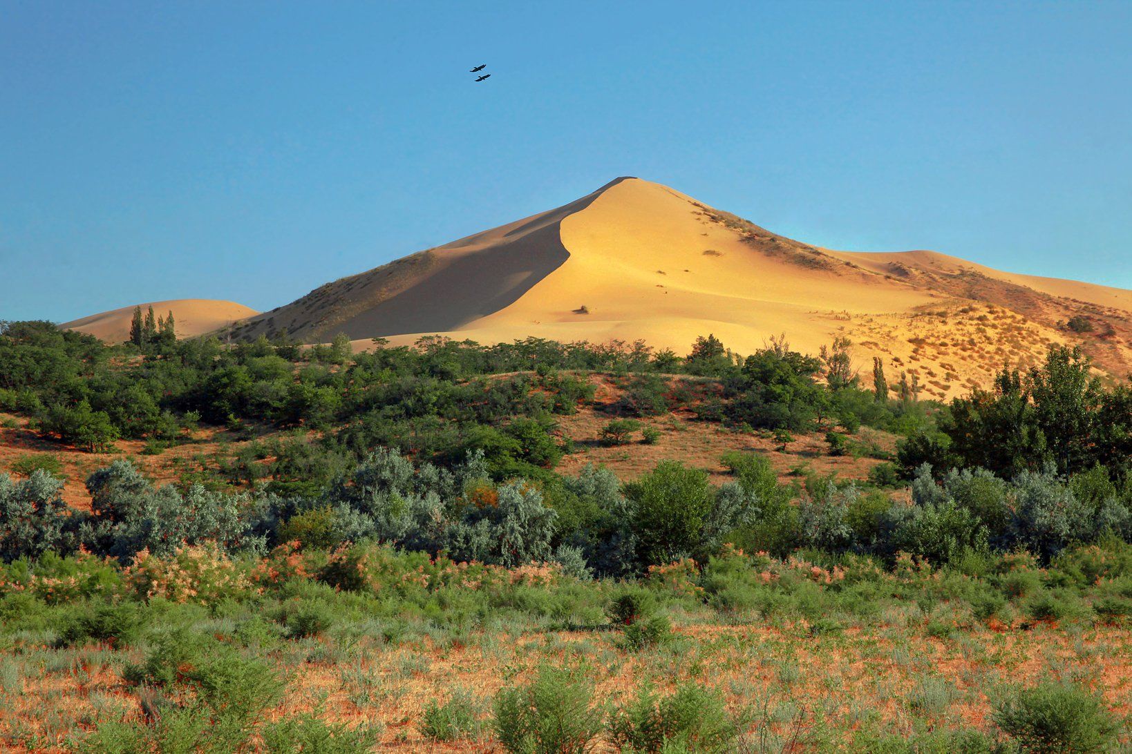 песок,песчаная гора,сарыкум,жёлтые пески,дагестан,заповедник., Marat Magov
