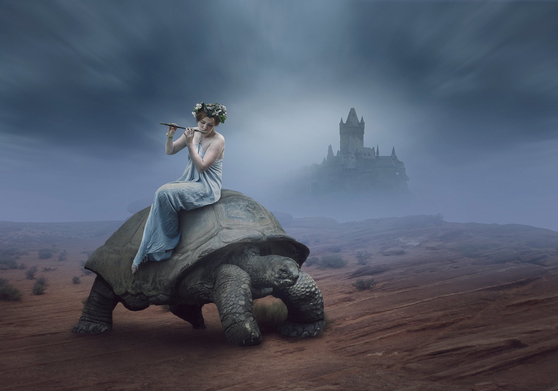 черепаха, пустыня, девушка, туман, Sergii Vidov