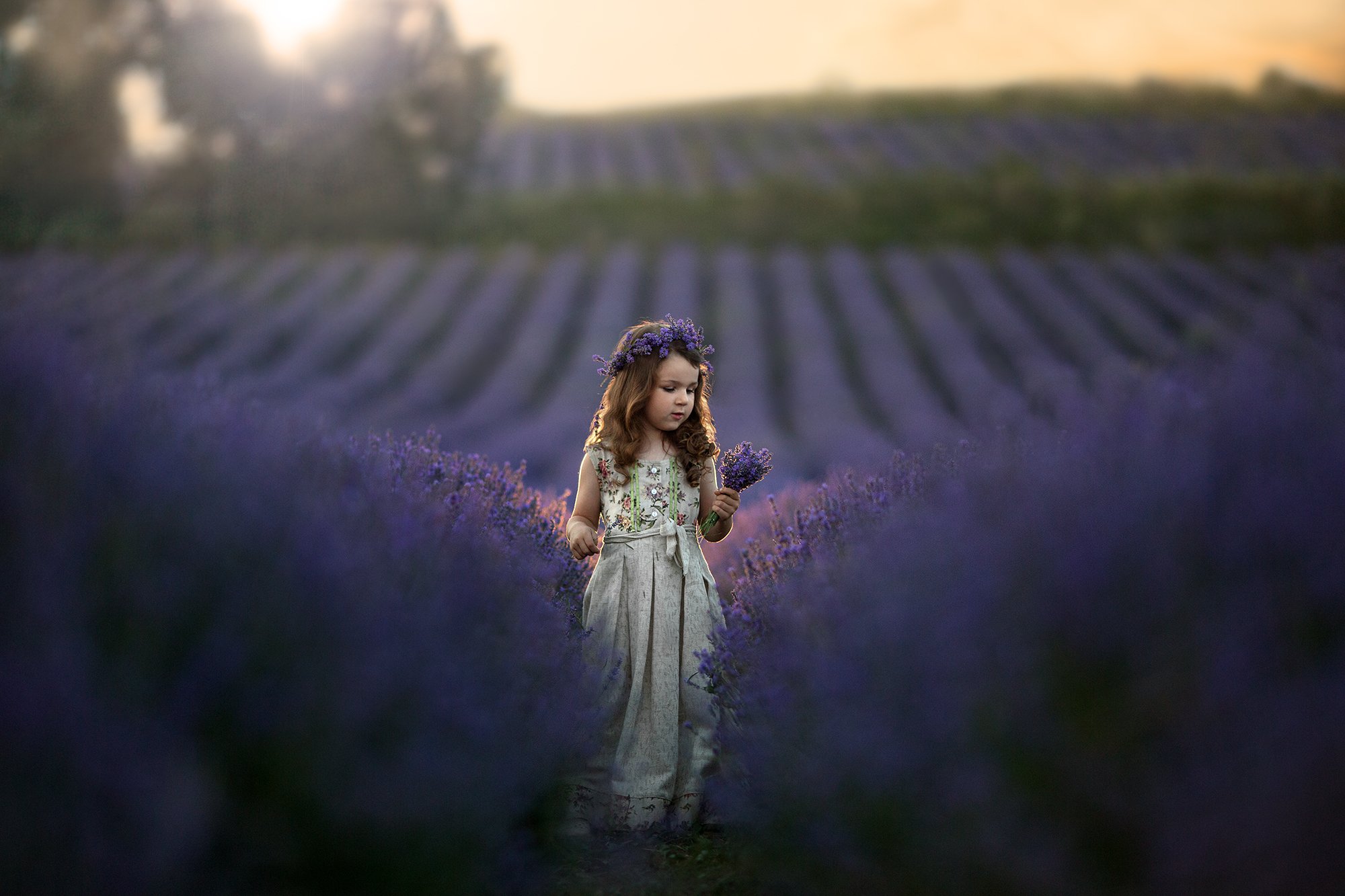 детская фотография, портрет, природа, лаванда, lavender, Татьяна Кудрова