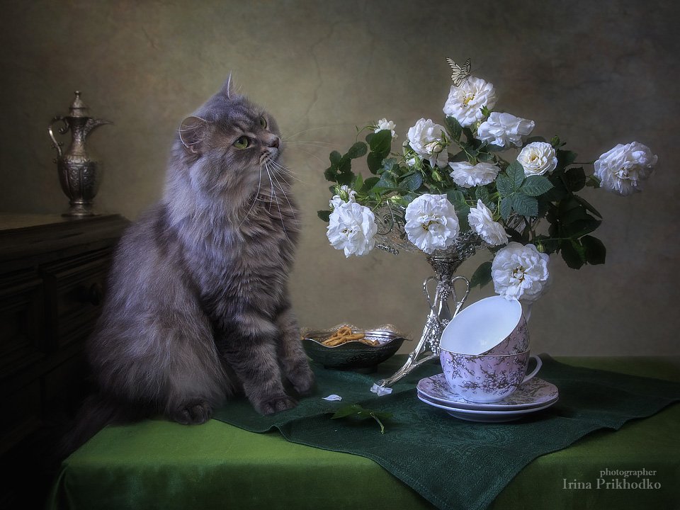 натюрморт, цветы, розы, кошка Масяня, бабочка, чайная посуда, стол, винтажный, , Ирина Приходько