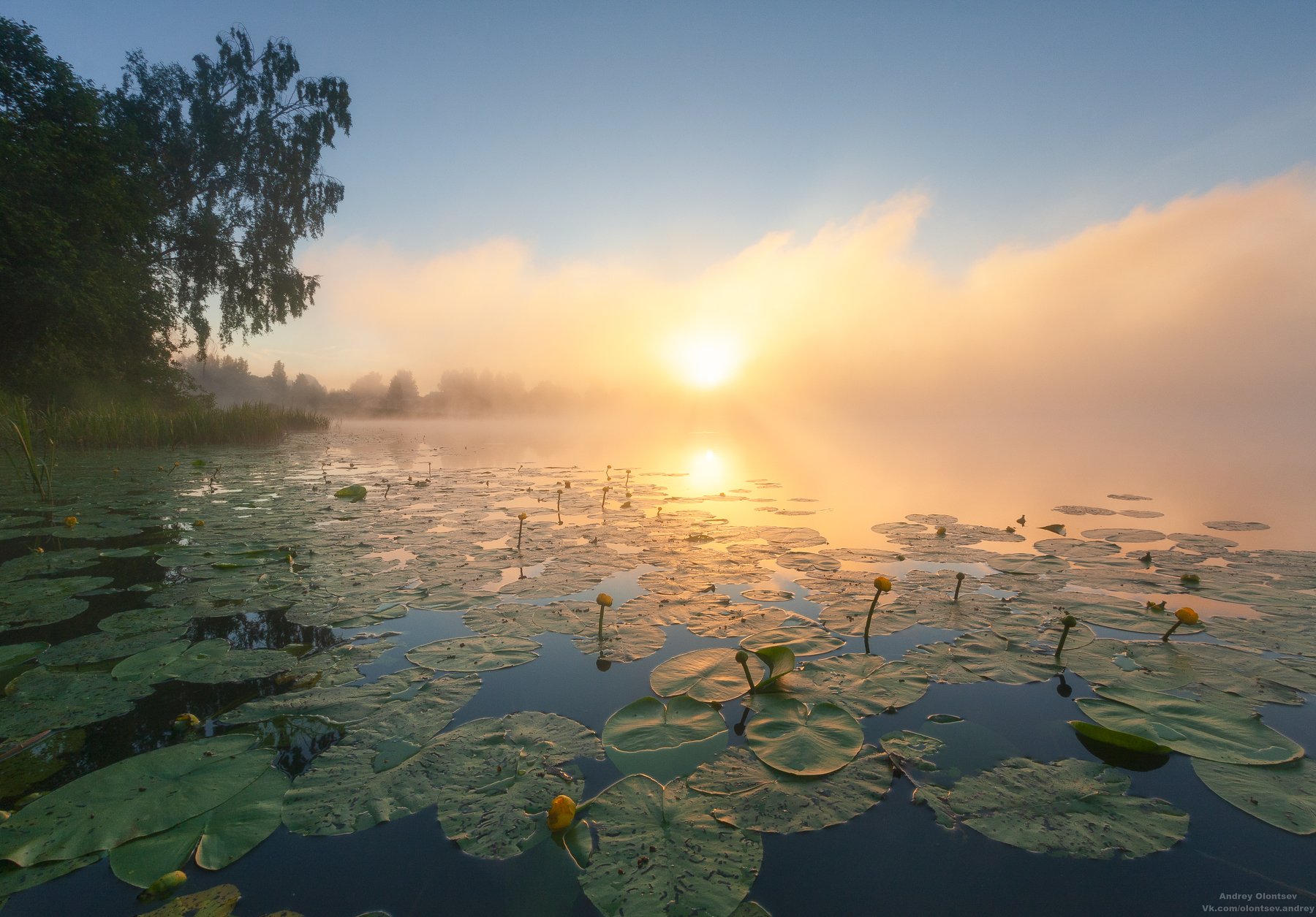 Туман на воде