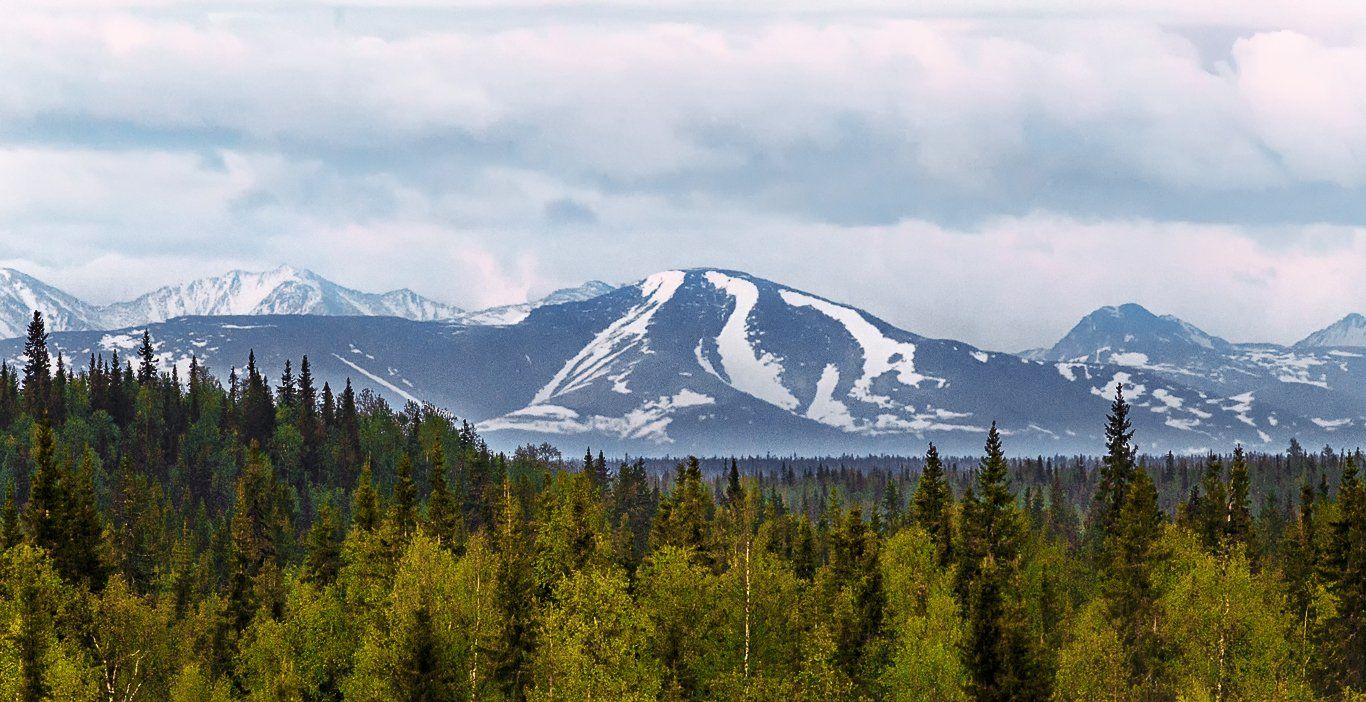 горы,север,природа,приполярный урал,mountains,north,nature,polar urals., Игорь Триер