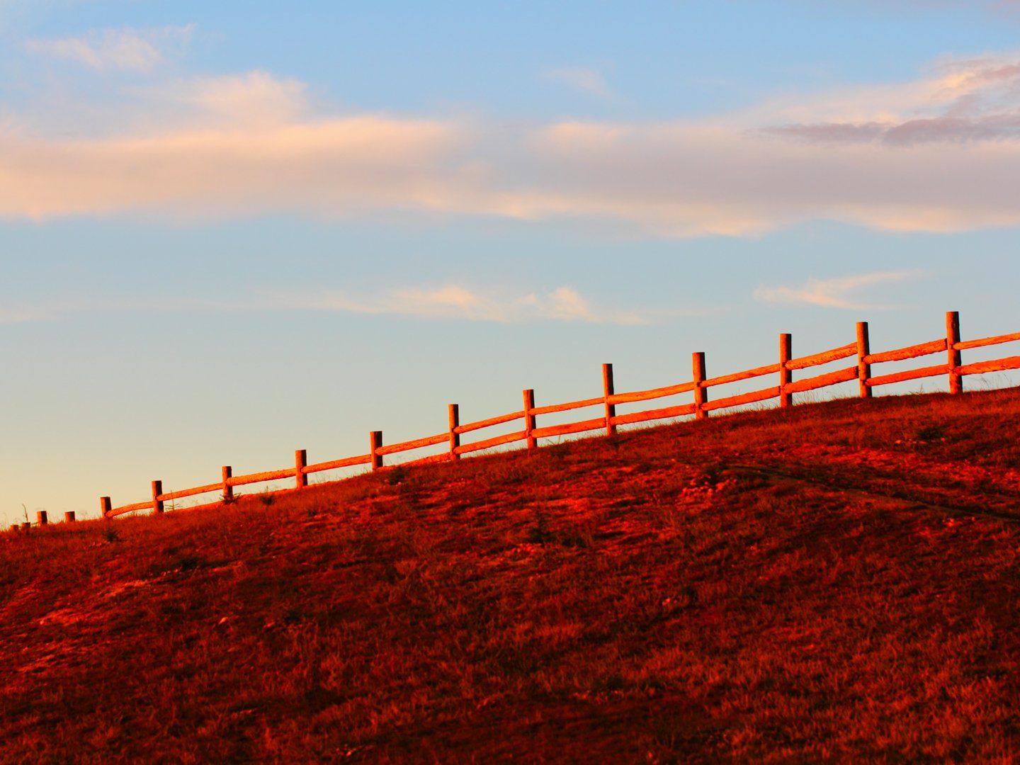 заход, солнце, земля, трава, ограда, sunset, island, earth, grass, fence, Дмитрий Салтыков