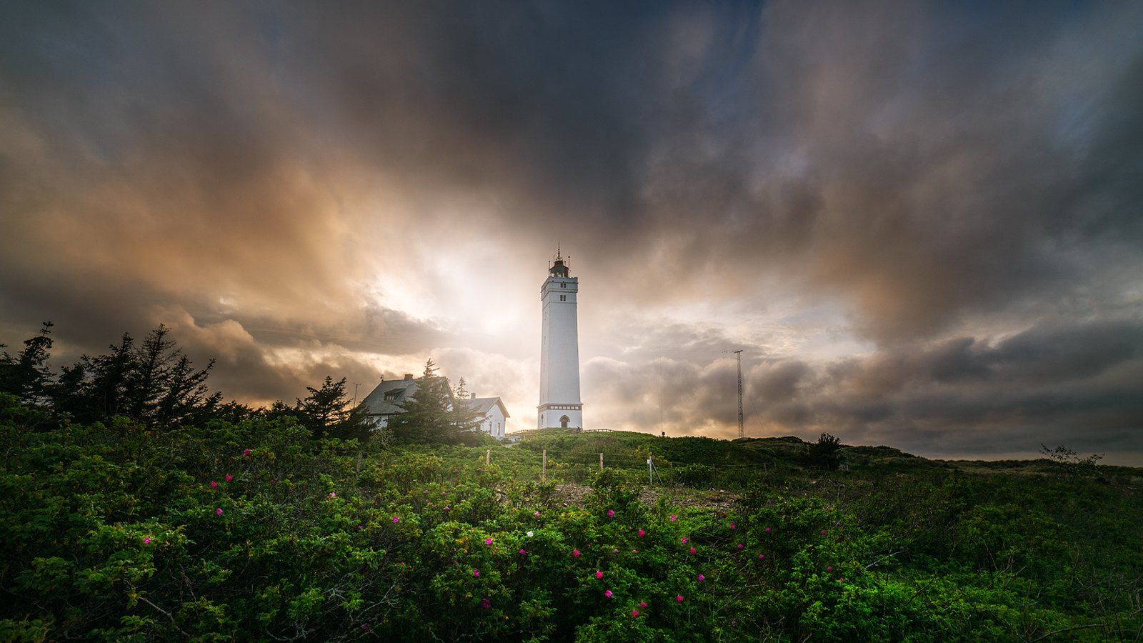 blavånd, denmark, danmark, lighthouse, Mikolaj Aniol