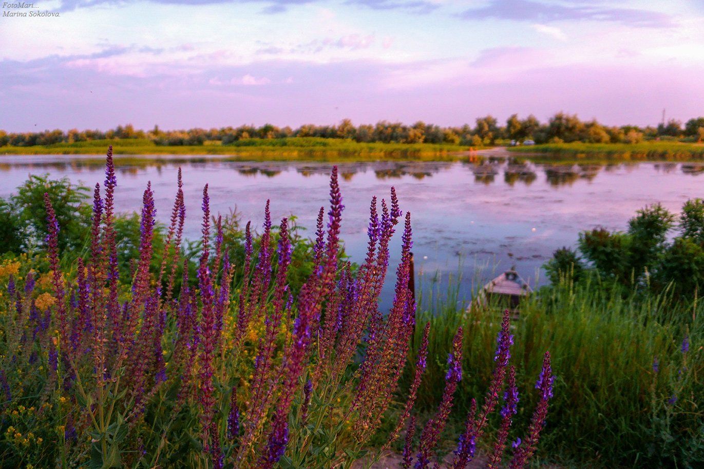 пейзаж,закат,родныепросторы,река,цветы,лето, Марина Соколова