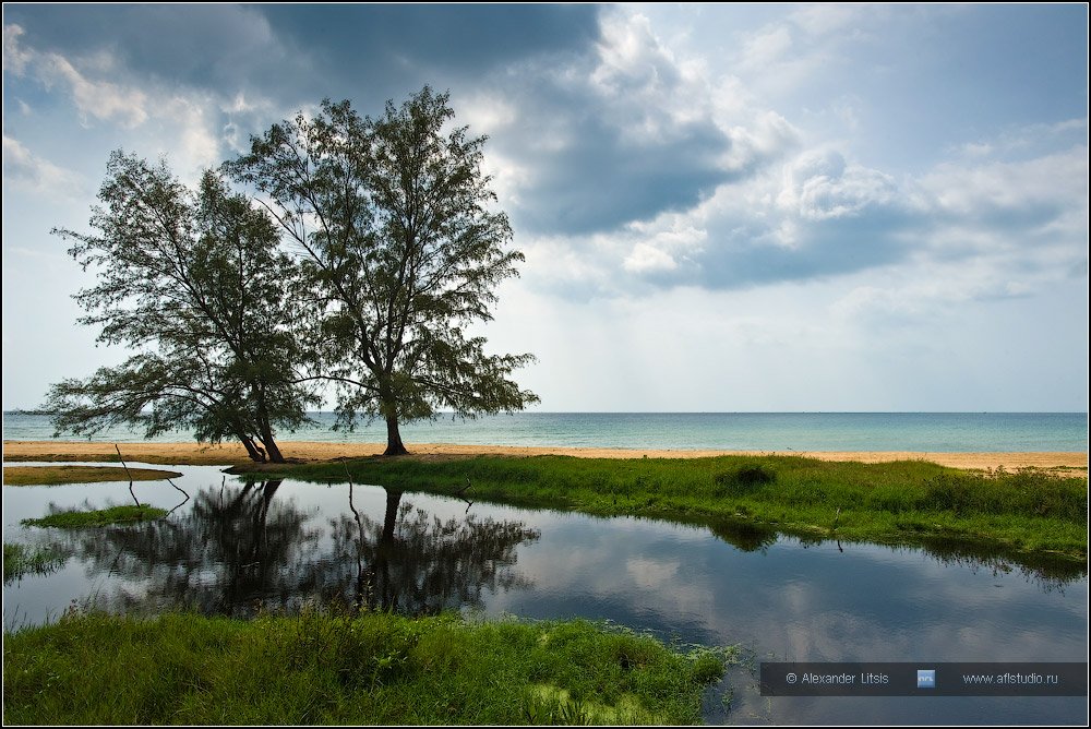 берег, море, деревья, тучи, облака, отражения, вьетнам, тропики, Александр Лицис