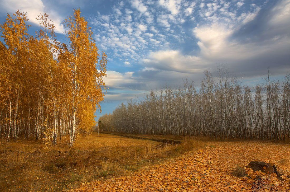 Осень очей. Унылая осень. Осень унылая пора. Осенняя природа унылая. Унылая пора осенью.