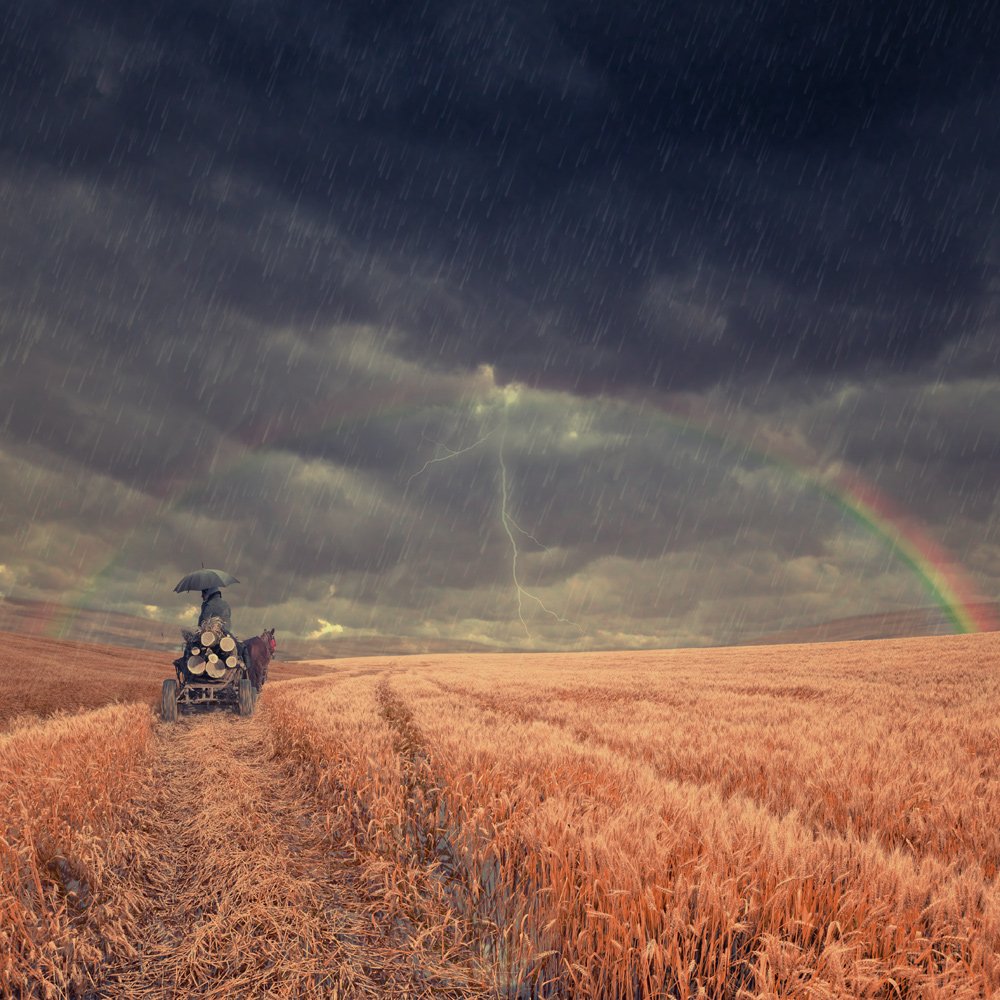 sky, rainbow, umbrella, water, travel, clouds, rain, woman, man, wheat, mounting, lighting, journey, cart, Caras Ionut