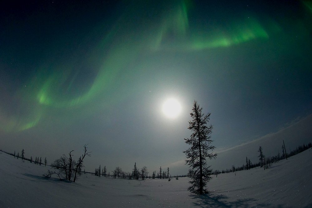 aurora borealis,  северное сияние,   ночной пейзаж ,  север,, Danil Husainov
