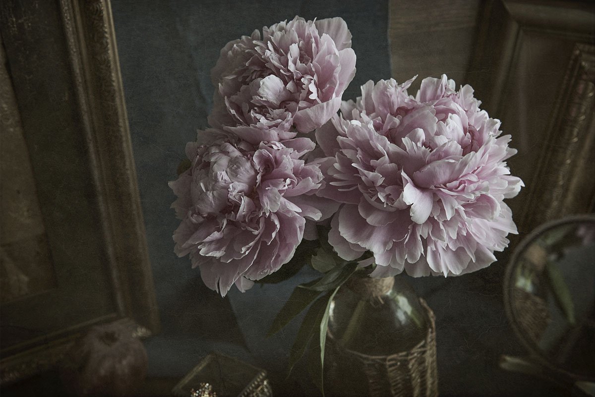 пион, цветок, цветы, цветение, картина, ваза, стол, свет, розовый, Игорь Токарев