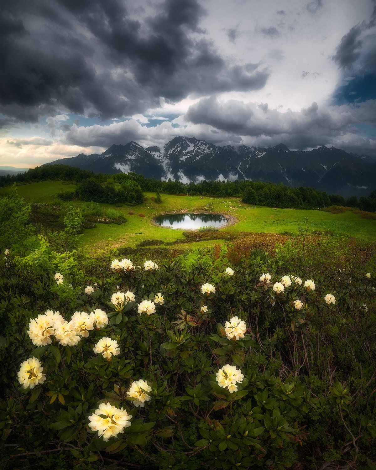 рододендроны, озеро, лето, горы, облака, пейзаж, кавказ, Tania Leschinskaya