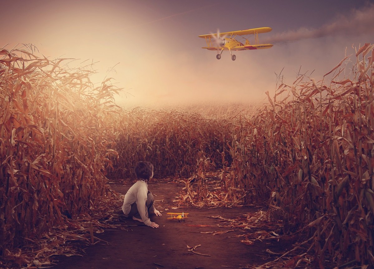 ребенок, самолет, кукурузное поле, Sergii Vidov