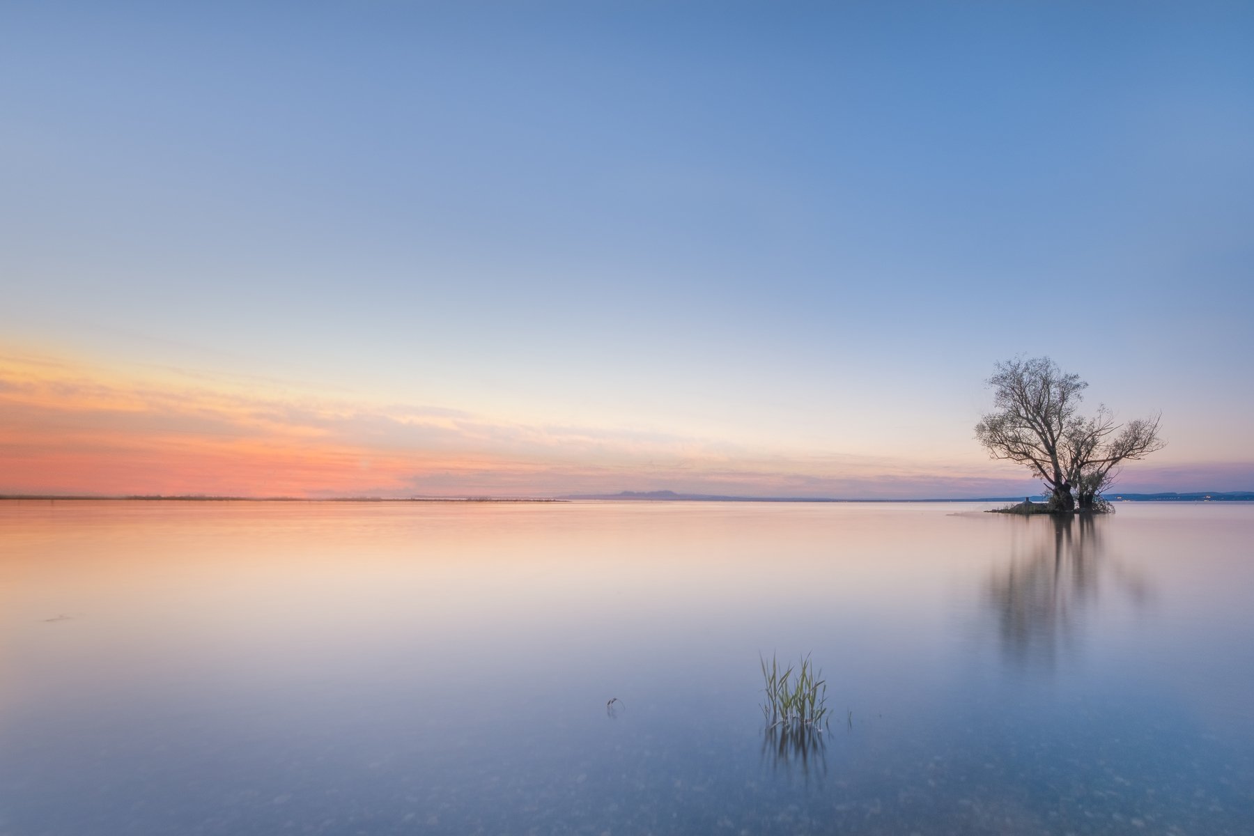 lake,boden lake,long exposure,tree,sunset,svwitzerland,bank, Felix Ostapenko