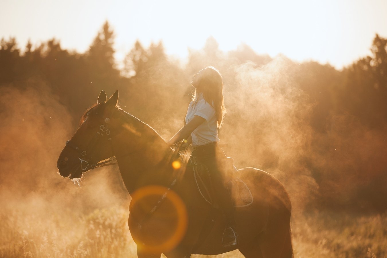 Конная прогулка, лошадь, рассвет, туман, Элина Хван