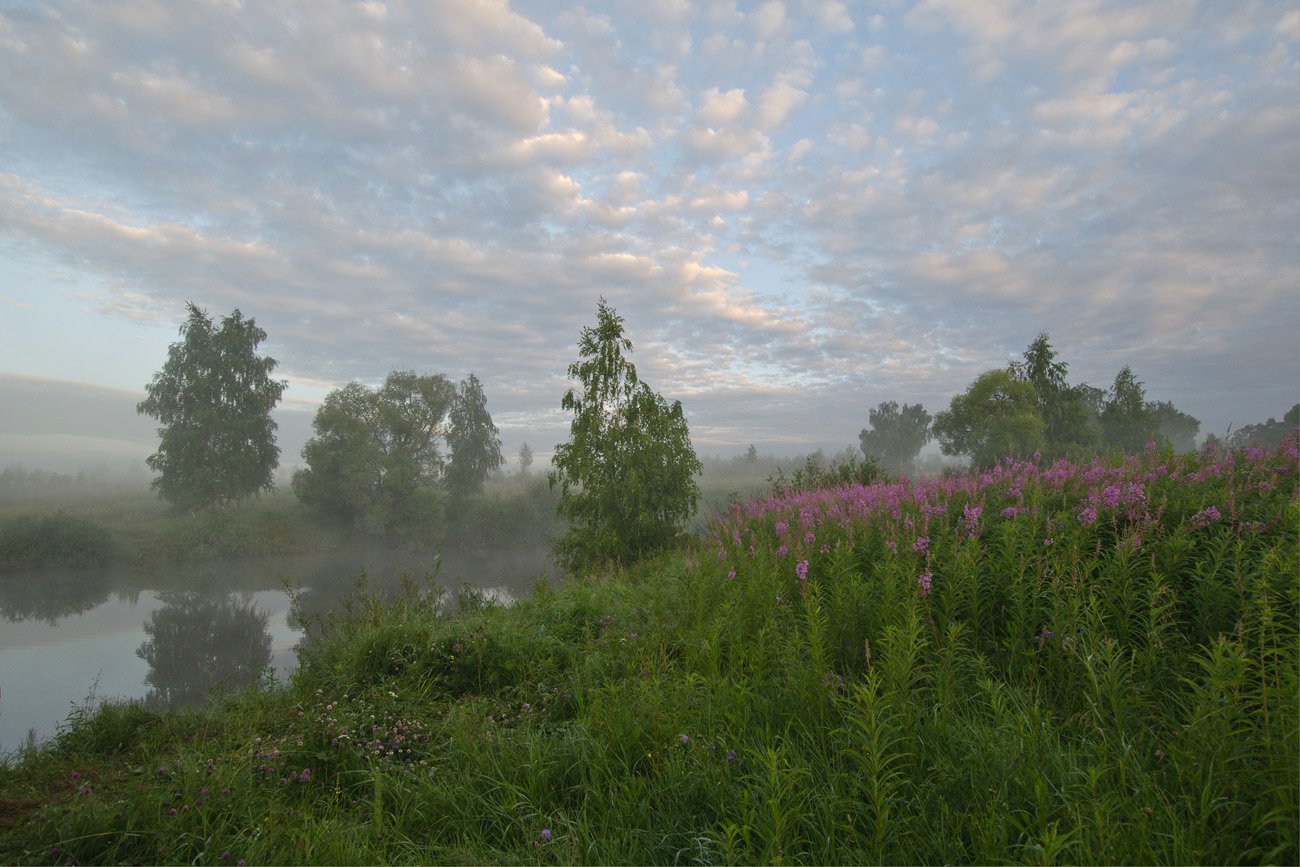 утро, лето, природа, пейзаж, Михаил Агеев