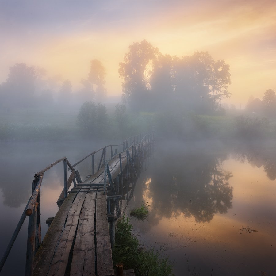 туман, лето, мост, Дмитрий Медянцев