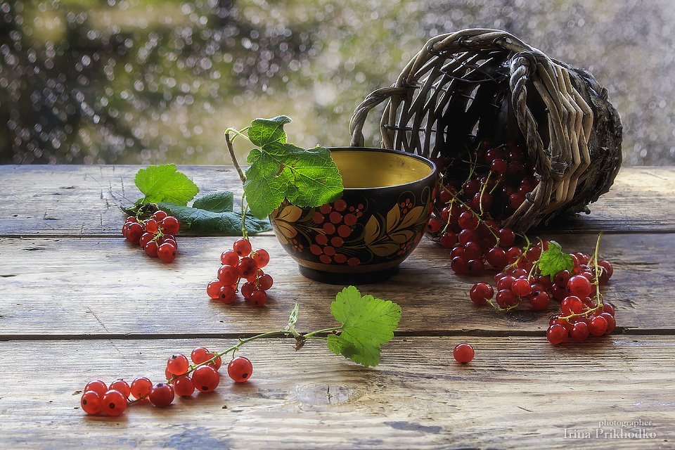 натюрморт, лето, ягоды, красная смородина, Ирина Приходько