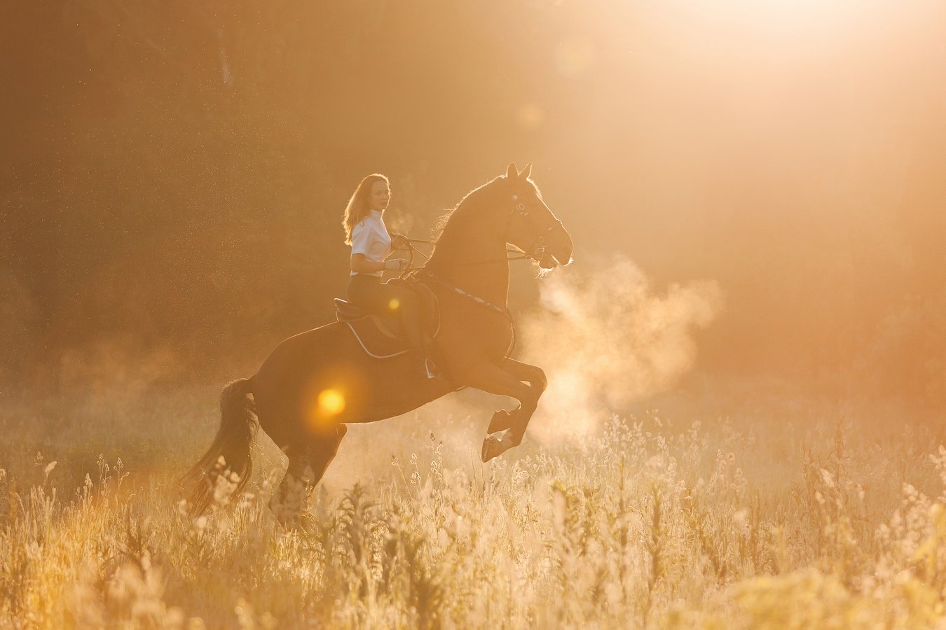 Конная прогулка, лошадь, рассвет, туман, Элина Хван