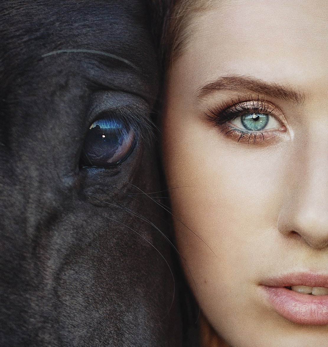 девушка, женский портрет, лошадь,  портрет, взгляд, глаза, Наталья Прядко