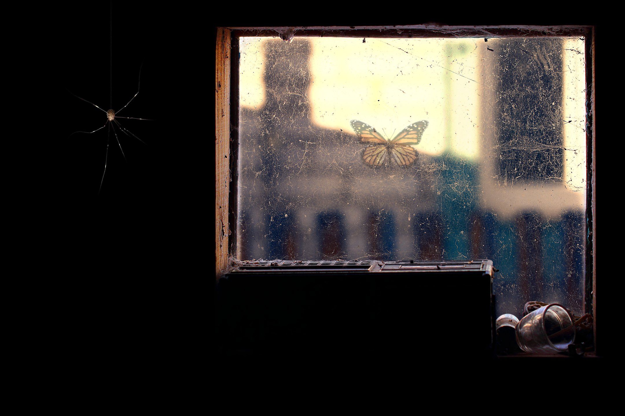 креатив, обработка, концепция, окно, паук, concept, window, home, spider, dark, Дмитрий Салтыков