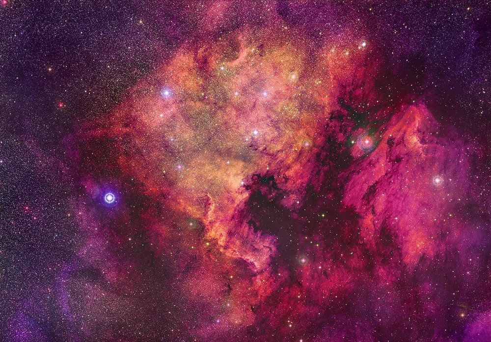 ngc7000, america, pelican, cygnus, star, nebula, Konstantin Mironov